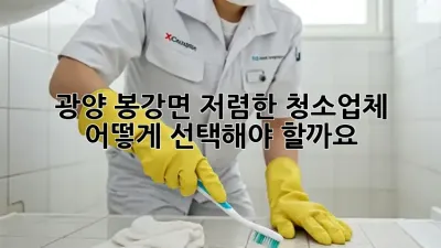 광양 봉강면 저렴한 청소업체, 어떻게 선택해야 할까요?